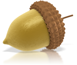 Acorn PNG image, free, acorns-741